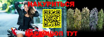 сатива Кунгур