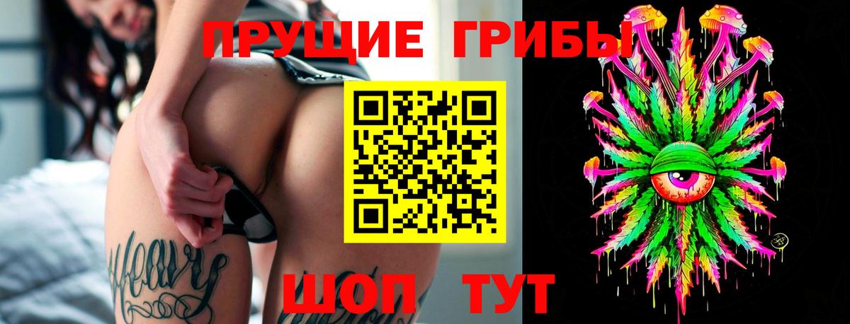 Камень-на-Оби  Псилоцибиновые грибы мухоморы  Вход с VPN  Псилоцибиновые грибы Magic Shrooms 