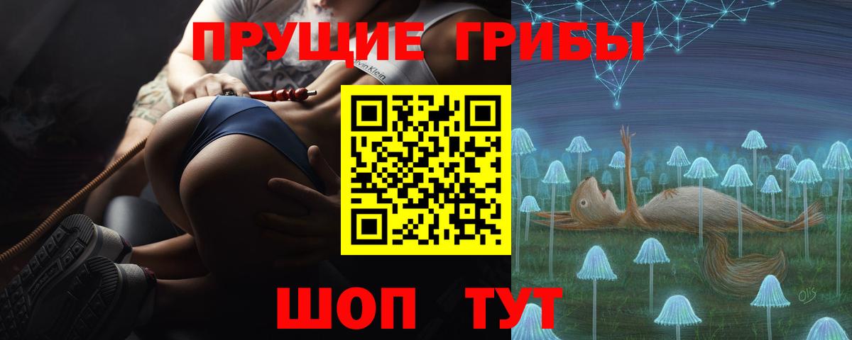 Псилоцибиновые грибы прущие грибы Камень-на-Оби